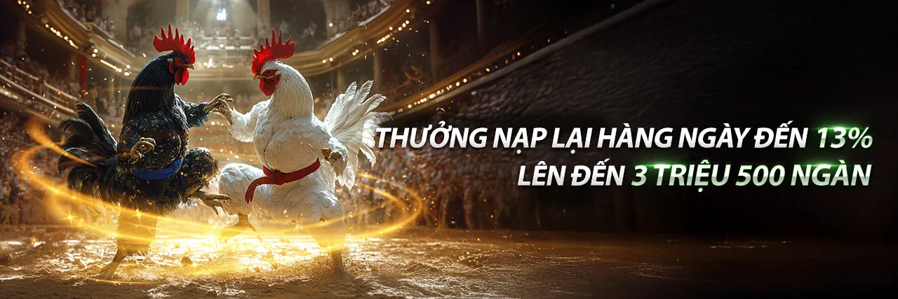 Sân đấu đá gà trực tuyến jb77