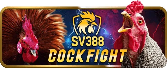 Hỗ trợ 24/7 jb77